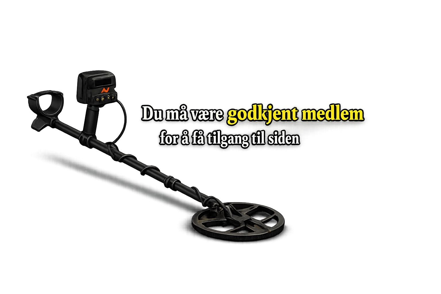 Medlem